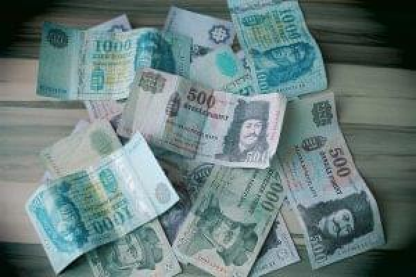 Vizsgálatokat készít elő a GVH az élelemiszer-kereskedelem területén